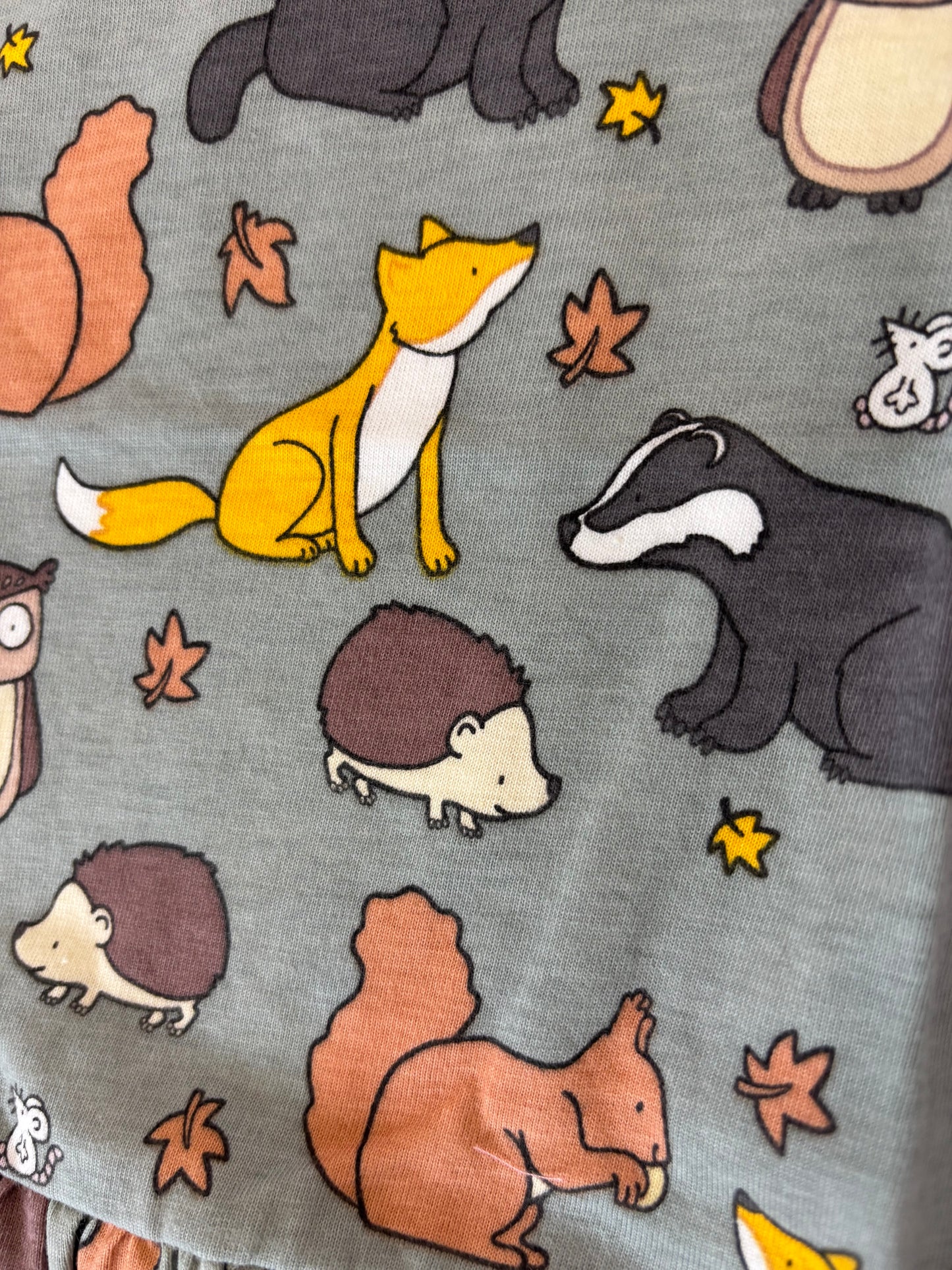 Woodland Whimsy Cotton Frock